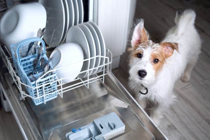 Common Issues that Impact a Dishwasher's Performance